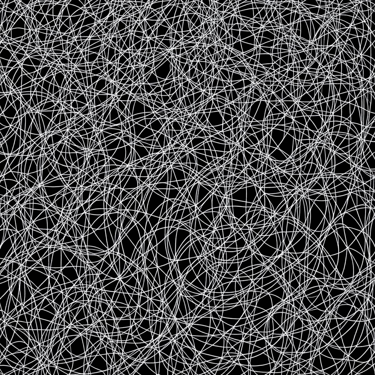 541a153d-f555-42df-b635-f3add5b0cc64-7028 - description-a-network-of-interwoven-lines-forming-a-m_250422071034_Filename Text 2_05448_Filename Text 3.png